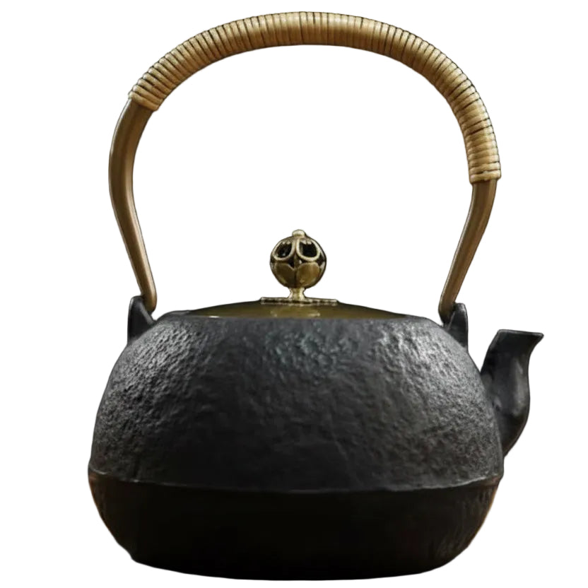 THÉIÈRE EN FONTE (STYLE JAPONAIS) DÉCOR ANCIEN