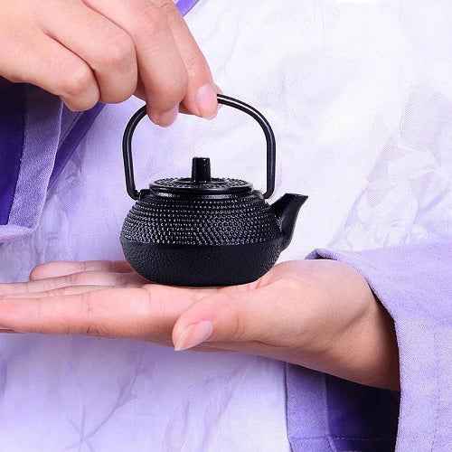 http://teapot-renaissance.com/cdn/shop/products/mini_theiere_en_fonte_japonaise_individuelle_main_600x.jpg?v=1576252643