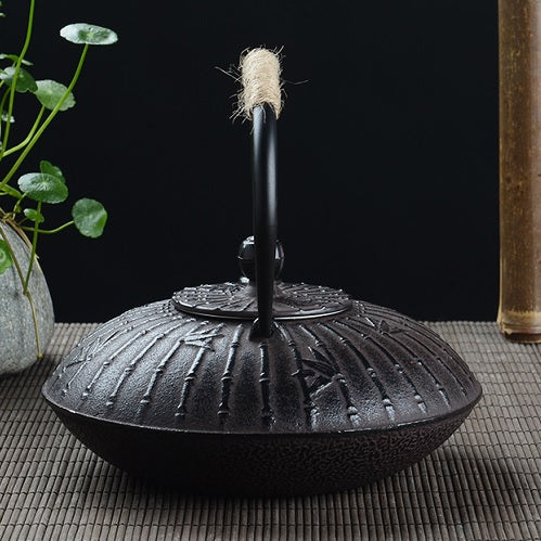 Théière en fonte chinoise kung fu
