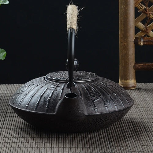 Théière en fonte chinoise kung fu