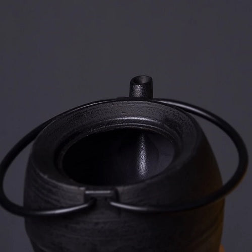 théière en fonte japonaise ouverte