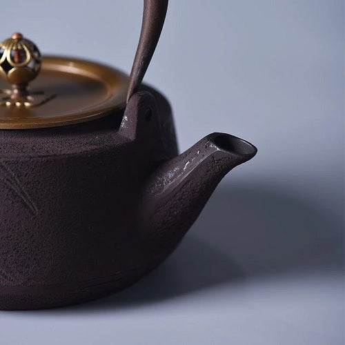 THEIERE EN FONTE (STYLE JAPONAIS) CASA
