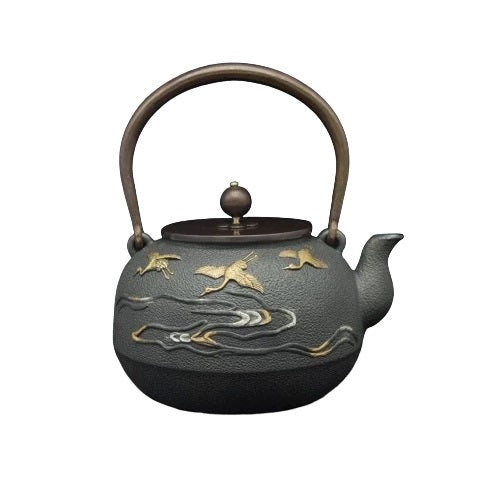 theiere japonaise en fonte pas cher