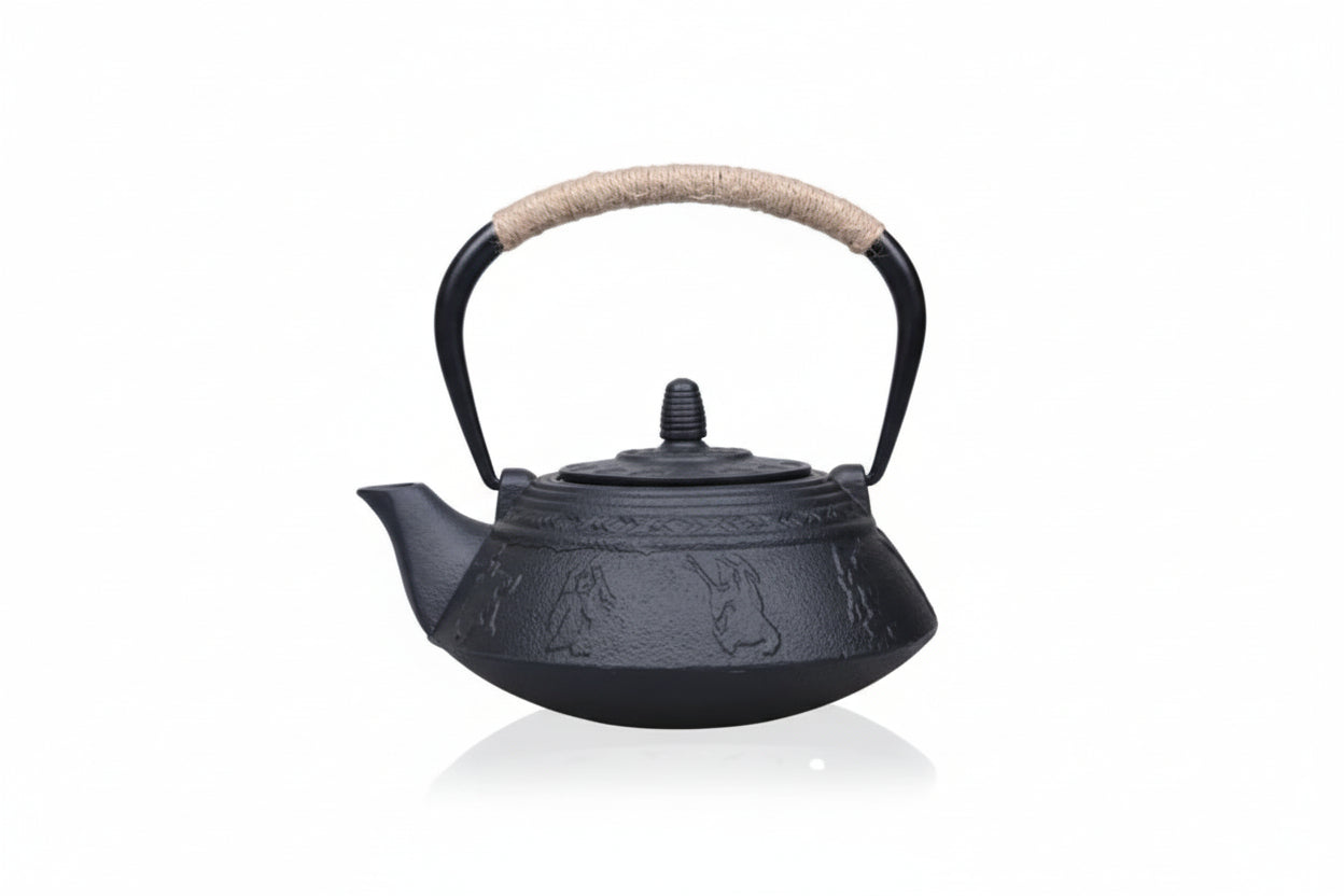 theiere japonaise traditionnelle en fonte