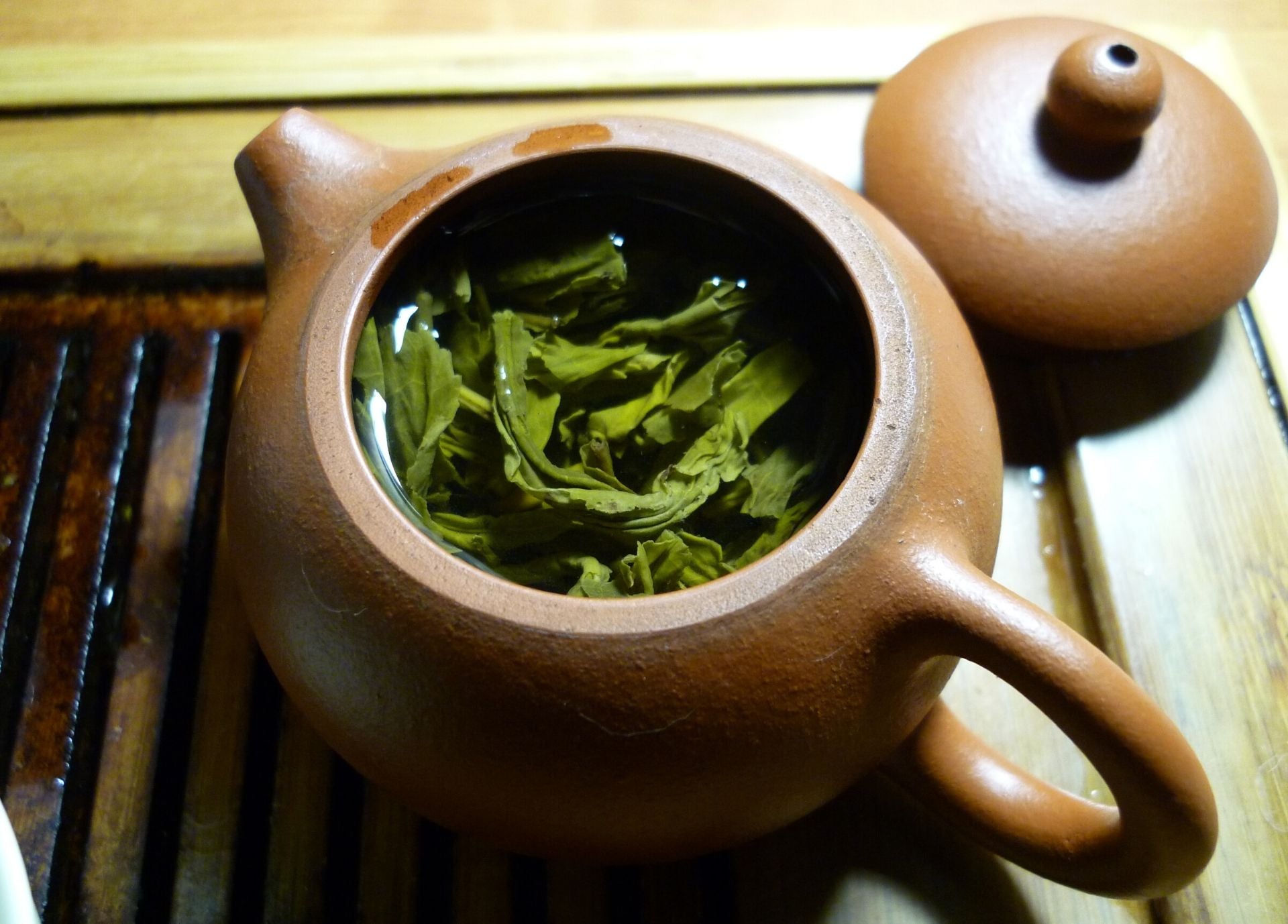 Cuillère pour le thé – Inox – Camellia sinensis