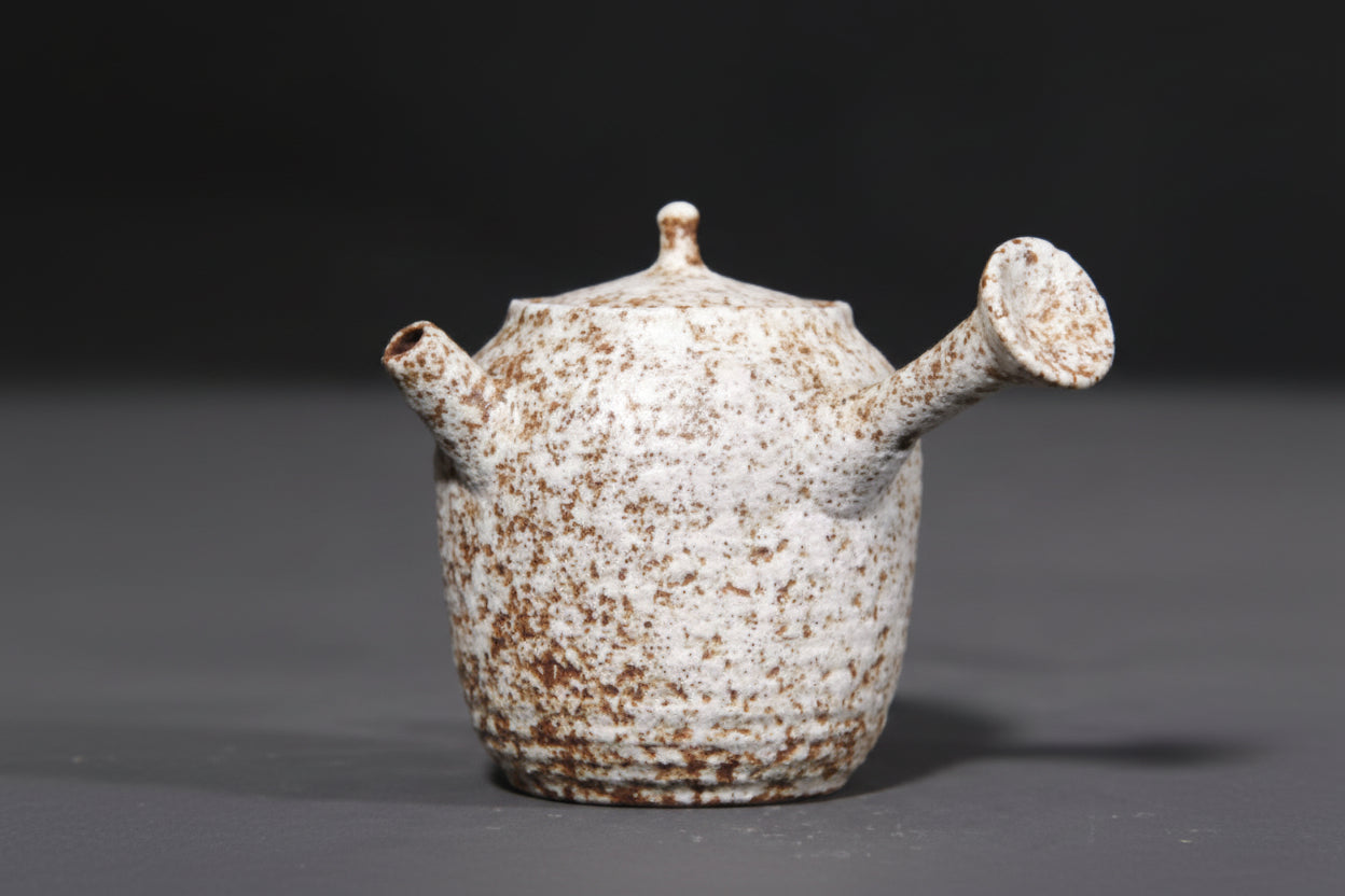 THÉIÈRE CÉRAMIQUE KYUSU AVEC MANCHE CREUX   BEC LONG