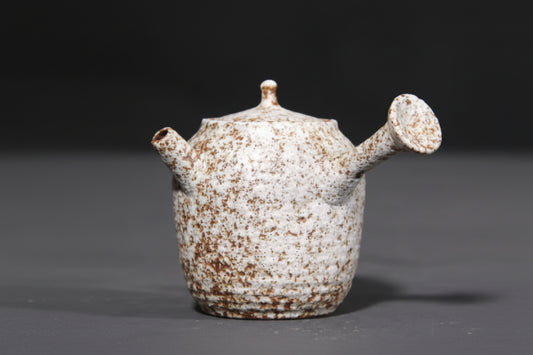THÉIÈRE CÉRAMIQUE KYUSU AVEC MANCHE CREUX   BEC LONG