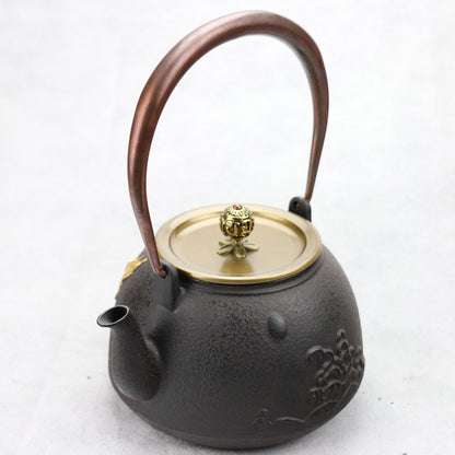 Théière en fonte noire Washi