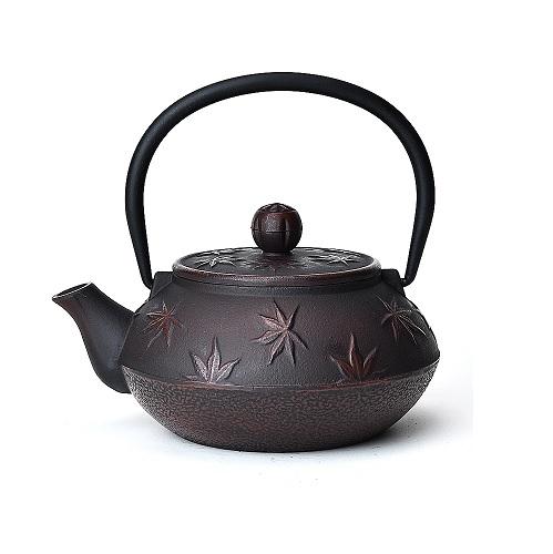 theiere bouilloire japonaise en fonte