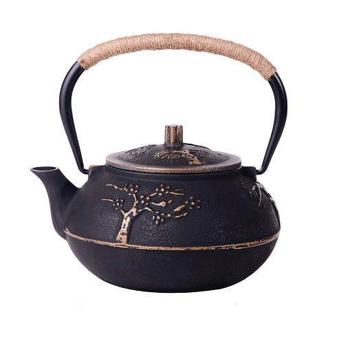 theiere design en fonte japonaise