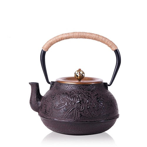 théière en fonte japonaise induction