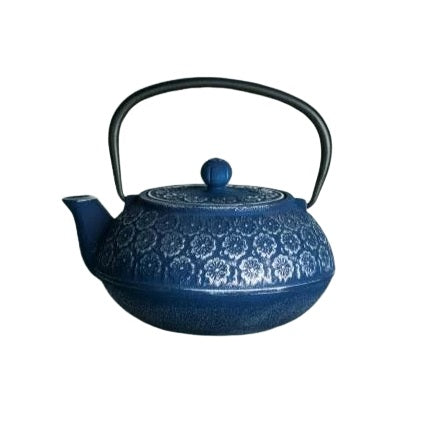 theiere en fonte japonaise bleue