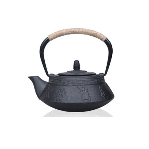 theiere japonaise traditionnelle en fonte
