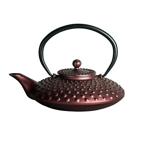 theiere plate japonaise en fonte